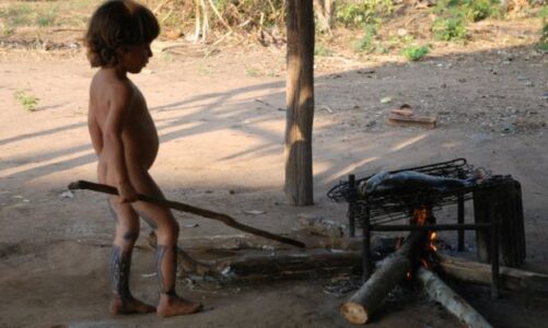 Reflexões de uma antropóloga e mãe: ‘O que aprendi com índios sobre educação infantil’