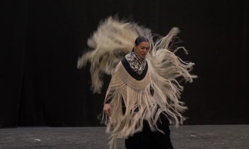 Vídeos de Danças Femininas Étnicas (flamenco e salsa)