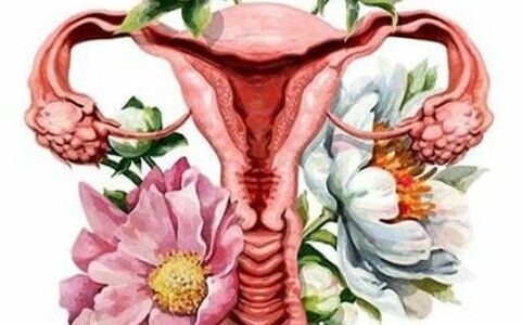 Equilíbrio Hormonal da Mulher